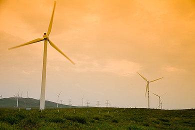 网易手游《流星群侠传》宣布停运 关闭大部分服务器